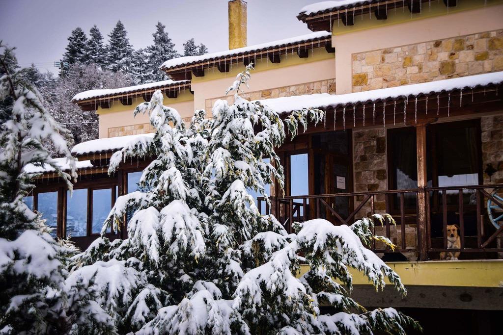Aetoma Suites Synikia Mesi Trikalon Extérieur photo