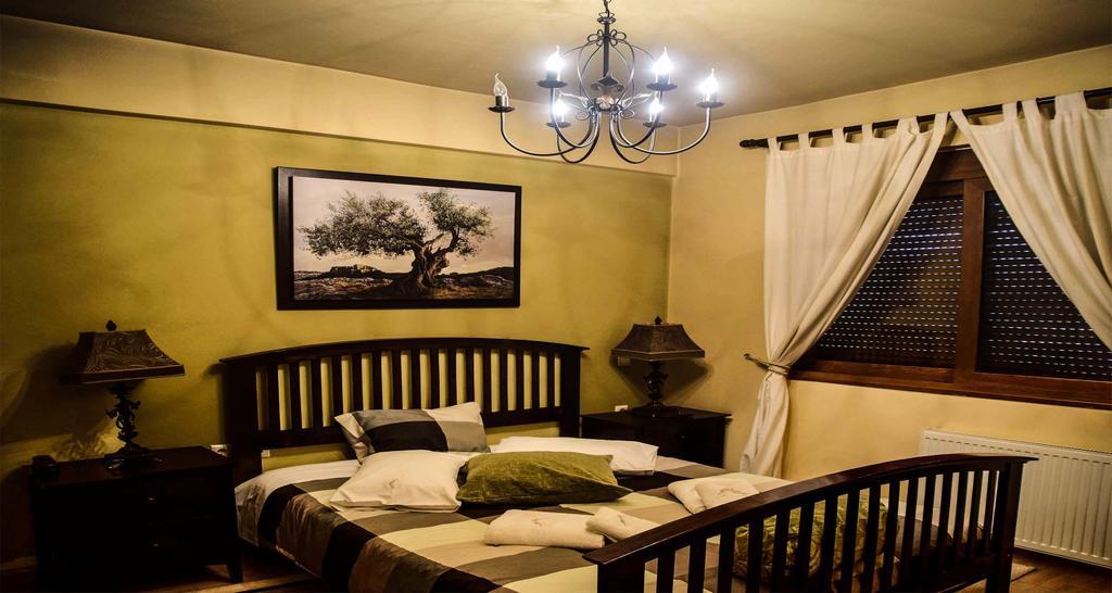 Aetoma Suites Synikia Mesi Trikalon Extérieur photo